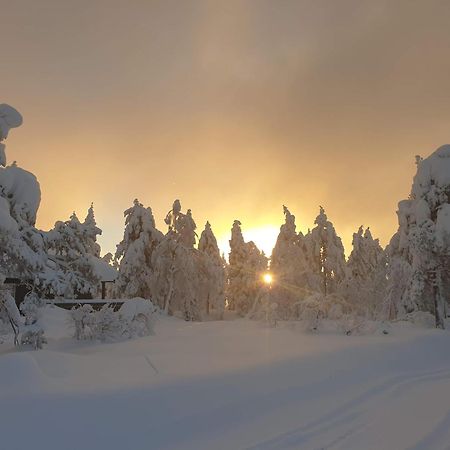 Ro I Sjelen. Hytte Til Leie Pa Skrim. Конгсберг Экстерьер фото