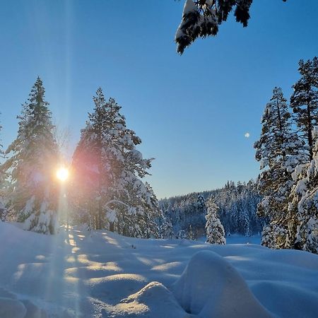 Ro I Sjelen. Hytte Til Leie Pa Skrim. Конгсберг Экстерьер фото