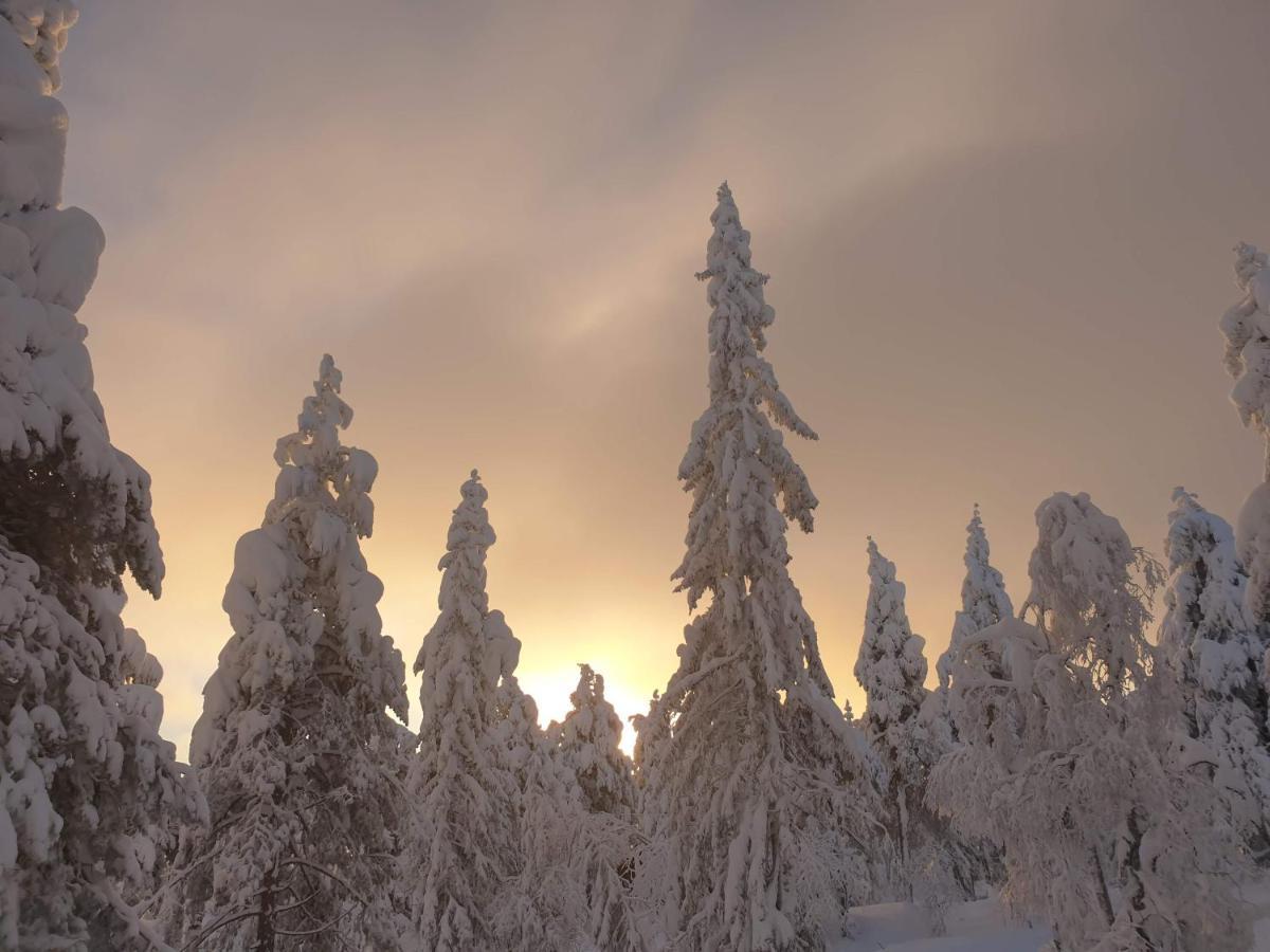 Ro I Sjelen. Hytte Til Leie Pa Skrim. Конгсберг Экстерьер фото