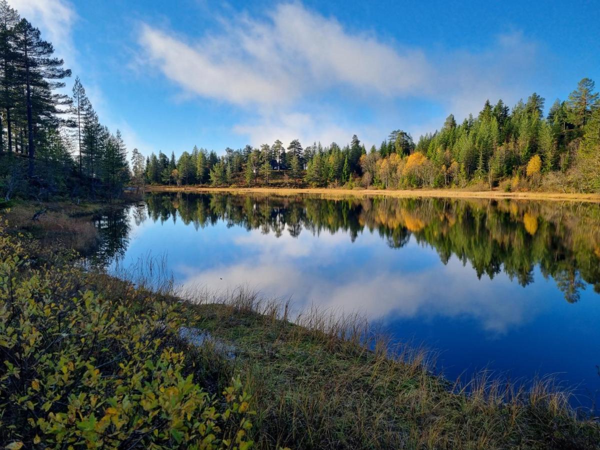 Ro I Sjelen. Hytte Til Leie Pa Skrim. Конгсберг Экстерьер фото