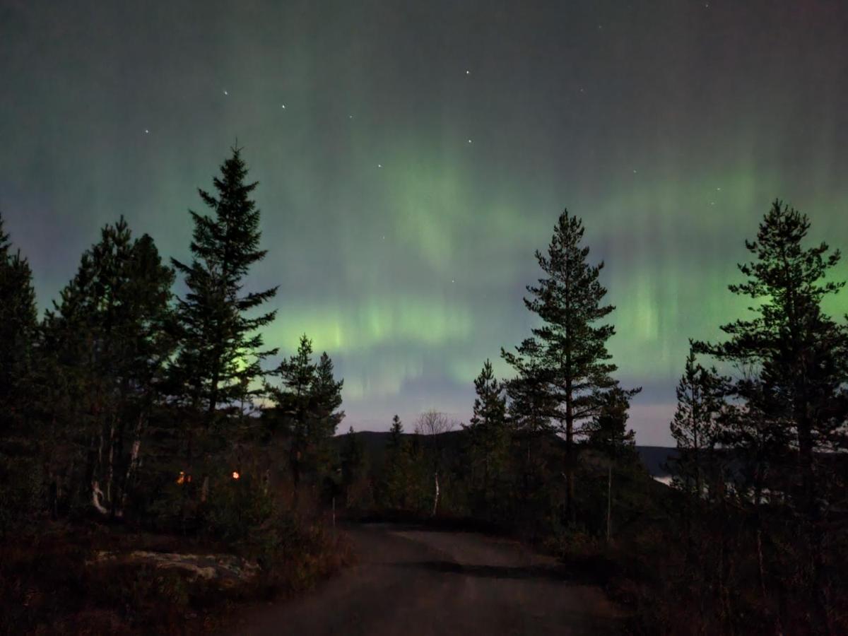 Ro I Sjelen. Hytte Til Leie Pa Skrim. Конгсберг Экстерьер фото