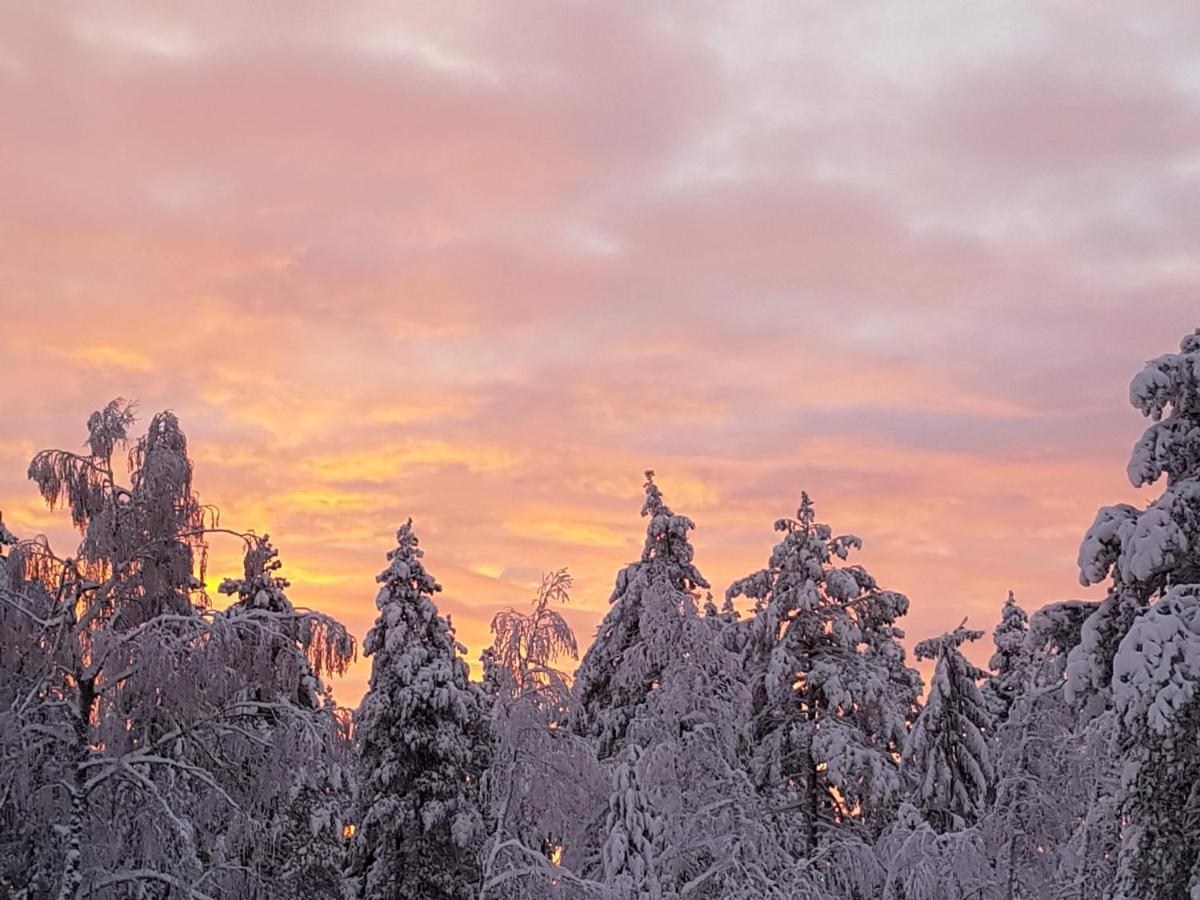 Ro I Sjelen. Hytte Til Leie Pa Skrim. Конгсберг Экстерьер фото