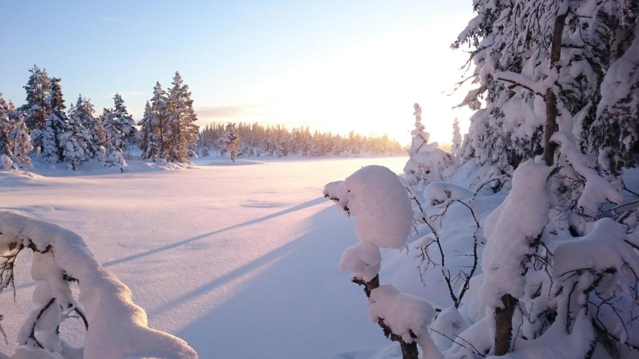 Ro I Sjelen. Hytte Til Leie Pa Skrim. Конгсберг Экстерьер фото