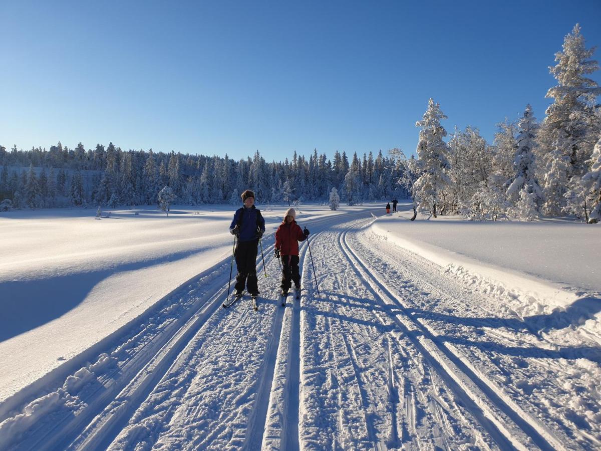 Ro I Sjelen. Hytte Til Leie Pa Skrim. Конгсберг Экстерьер фото