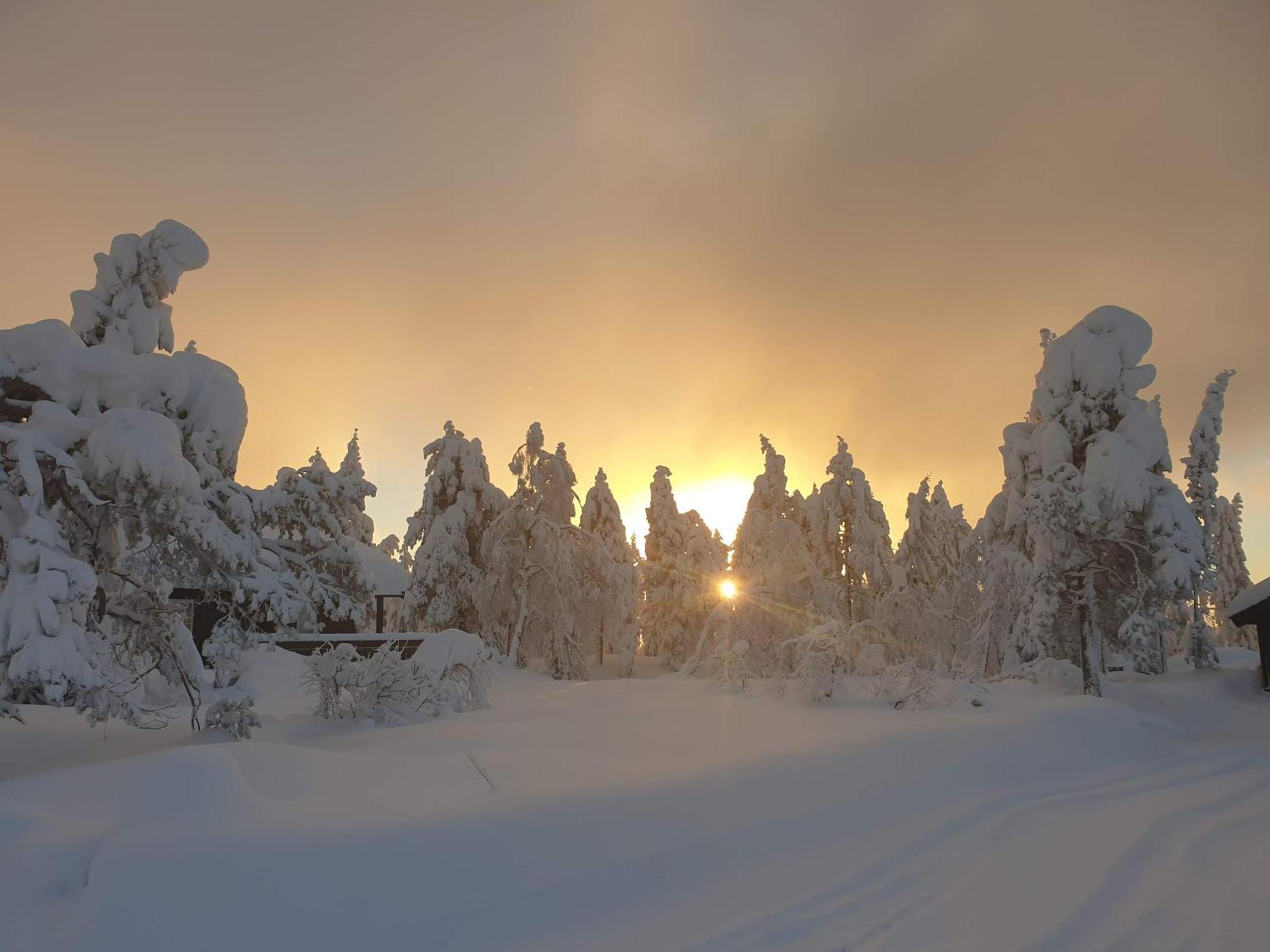 Ro I Sjelen. Hytte Til Leie Pa Skrim. Конгсберг Экстерьер фото
