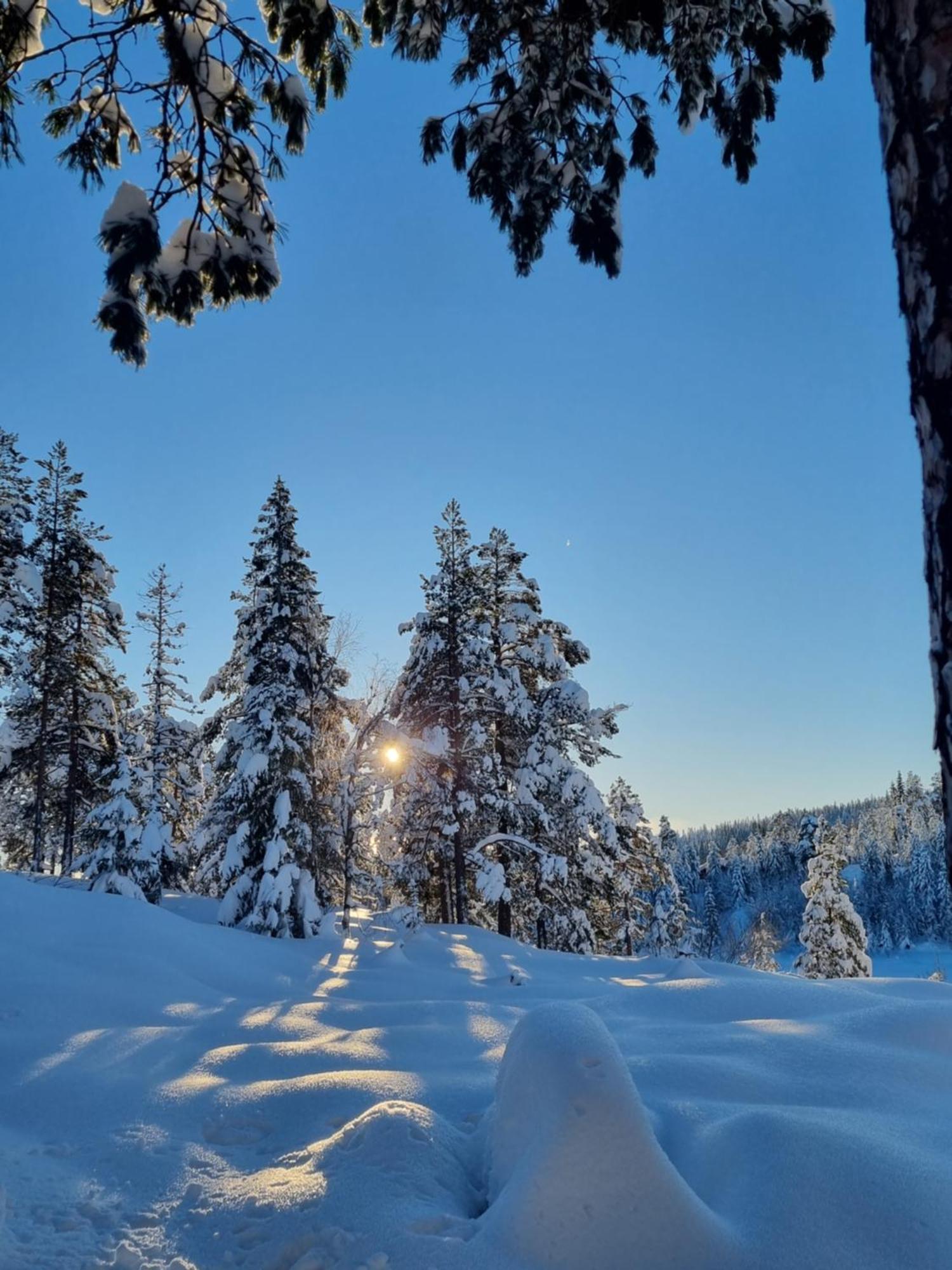 Ro I Sjelen. Hytte Til Leie Pa Skrim. Конгсберг Экстерьер фото