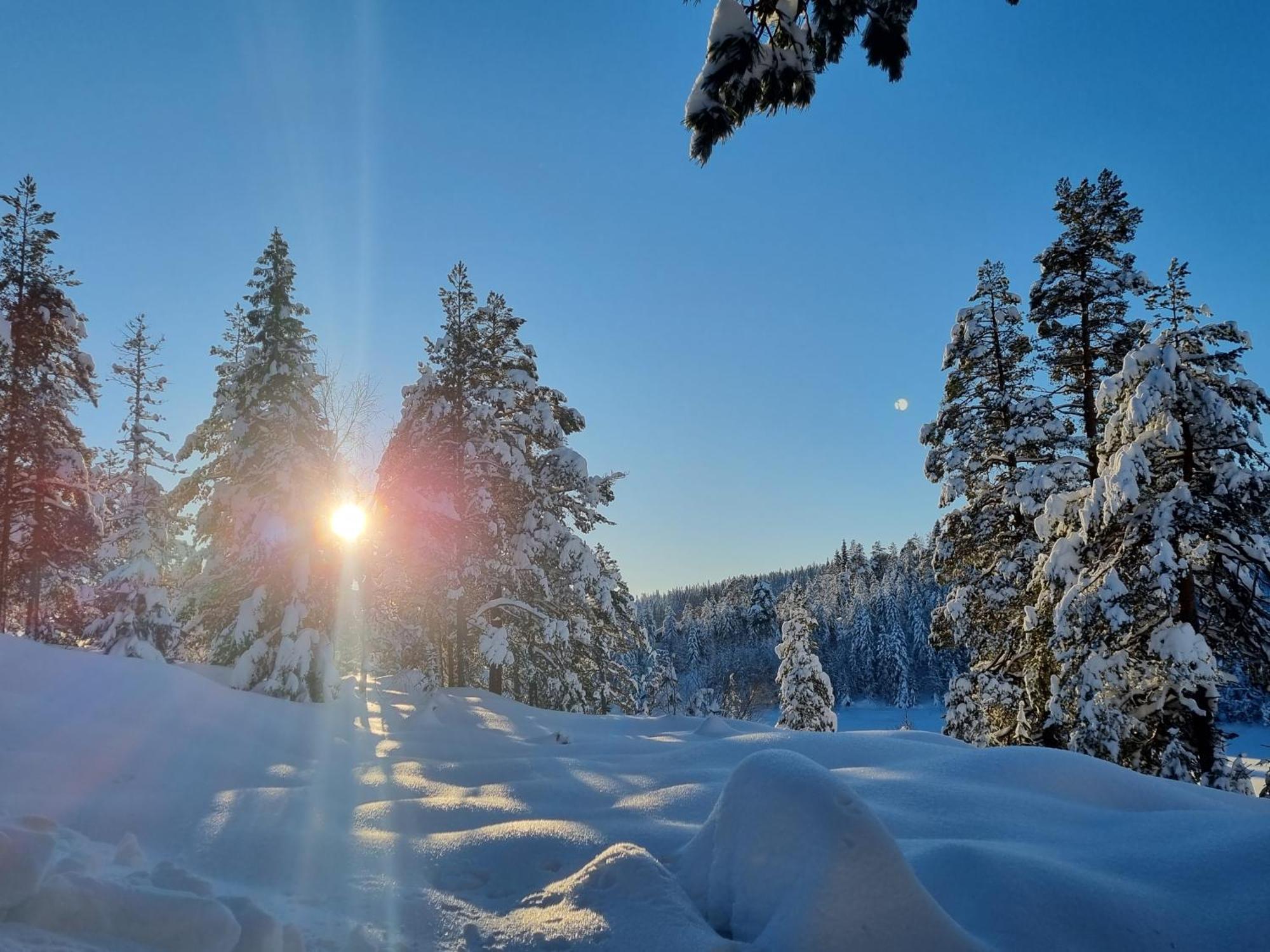 Ro I Sjelen. Hytte Til Leie Pa Skrim. Конгсберг Экстерьер фото