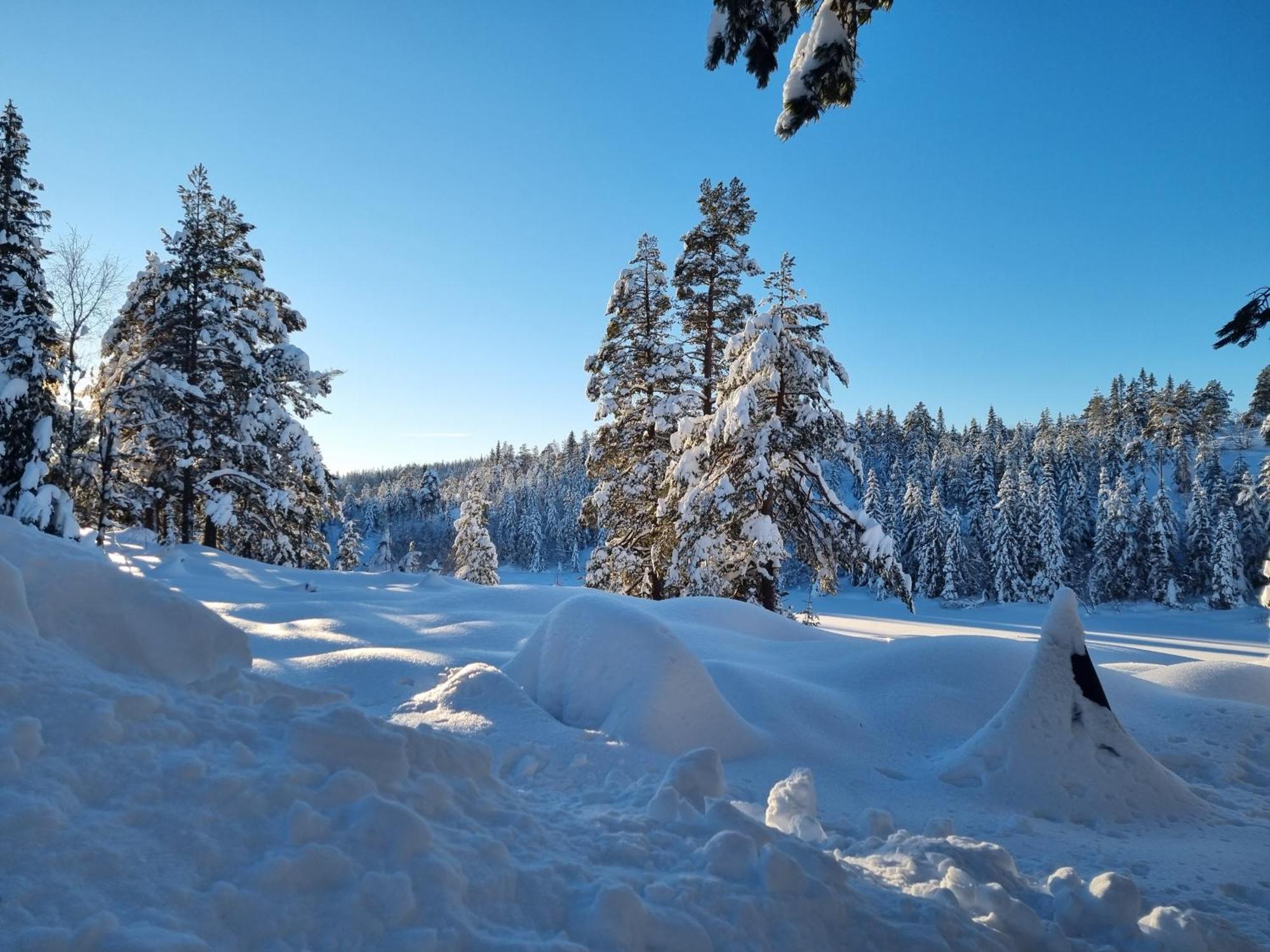 Ro I Sjelen. Hytte Til Leie Pa Skrim. Конгсберг Экстерьер фото