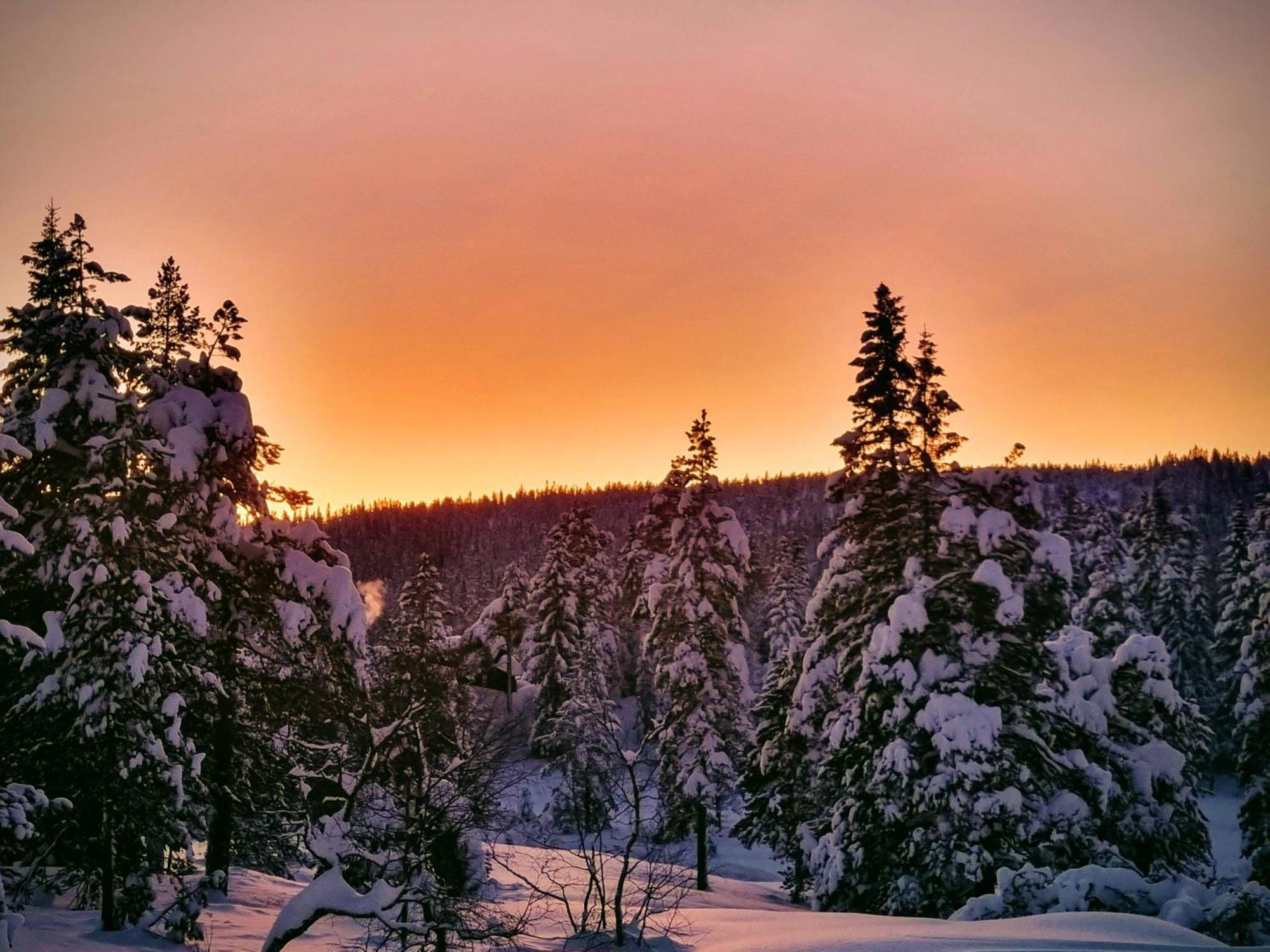 Ro I Sjelen. Hytte Til Leie Pa Skrim. Конгсберг Экстерьер фото